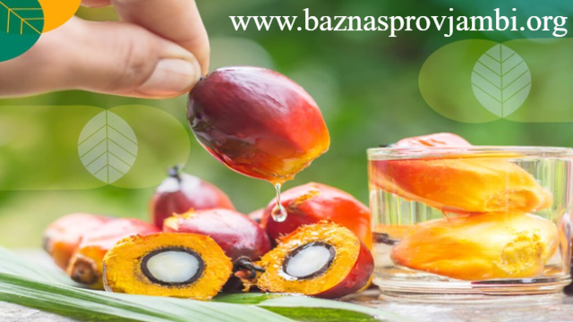 Keajaiban Buah Sawit: Manfaat Luar Biasa untuk Kesehatan