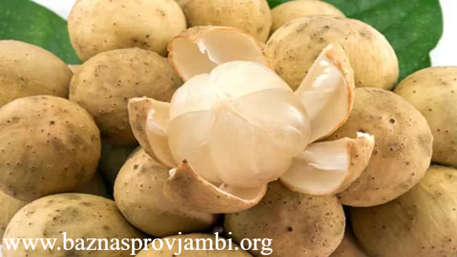 Menyelami Khasiat Bua h Duku untuk Tubuh dan Pikiran