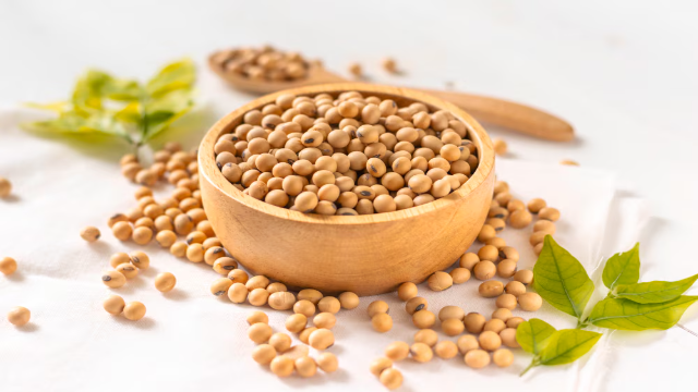 7 Manfaat Kesehatan Utama dari Kedelai