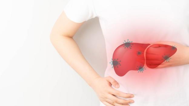 Inilah Jenis Penyakit yang Sering Mengganggu Organ Hati